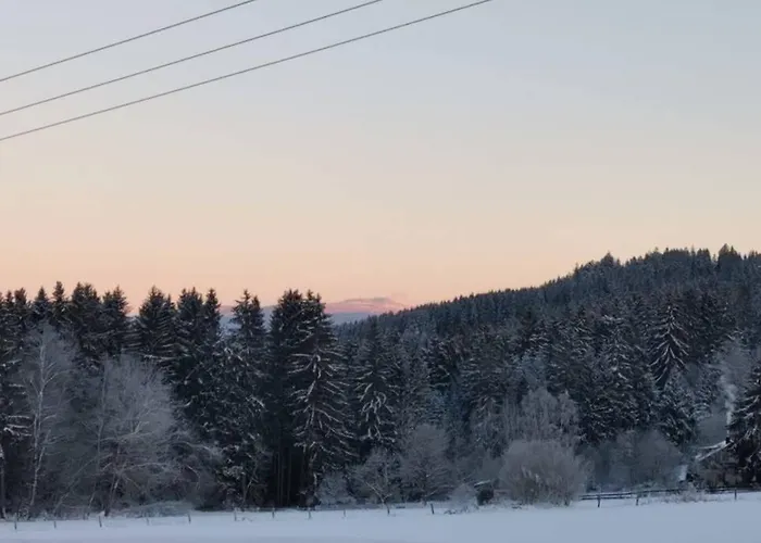 Apartment Ramona - Idyllisch Und Kirchdorf im Wald