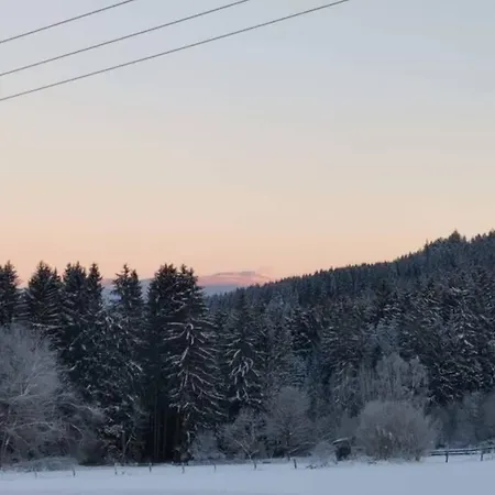 公寓 Ramona - Idyllisch Und Kirchdorf im Wald